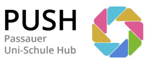 Logo PUSH